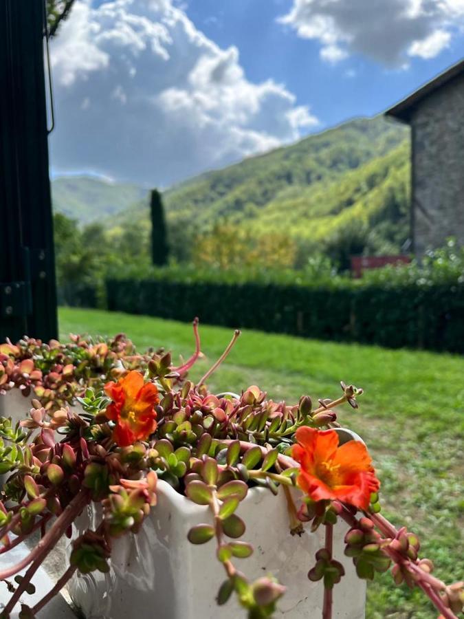 Сasa de vacaciones La Casina Del Bassotto *