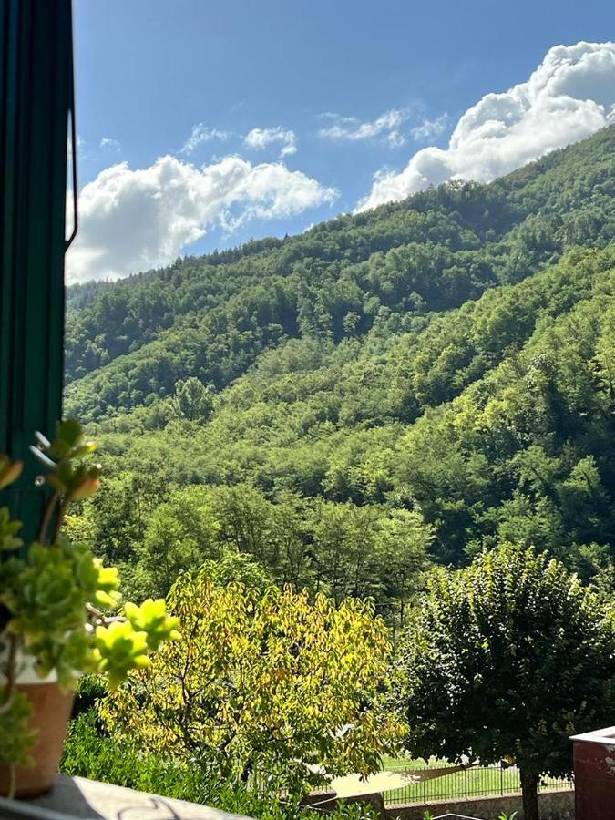 Сasa de vacaciones La Casina Del Bassotto *